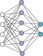 Neural Network